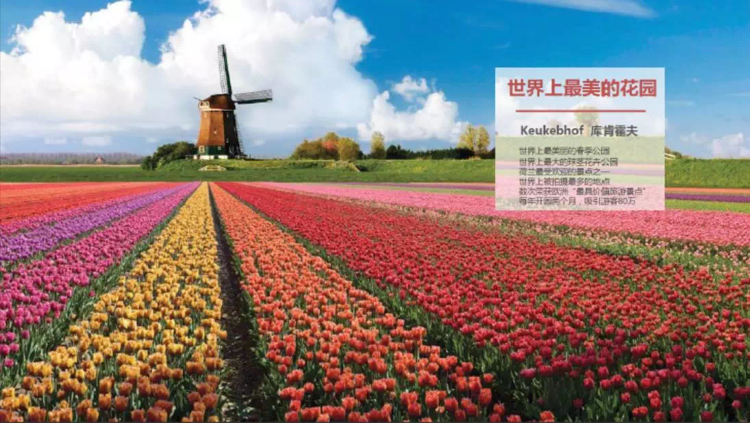 1495762243318305JlO7.png 1495762243318305JlO7.png